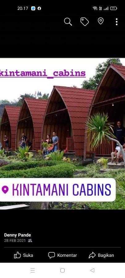 Kintamani Cabins别墅 外观 照片
